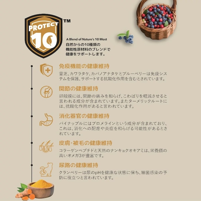 チャーム（charm） 【Charm】チャーム ドッグフード ノース