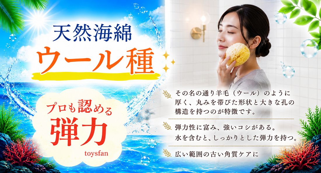 海綿 ドラッグストア スポンジ 天然 シルクサイズ9 特大 8〜9cm 大粒2