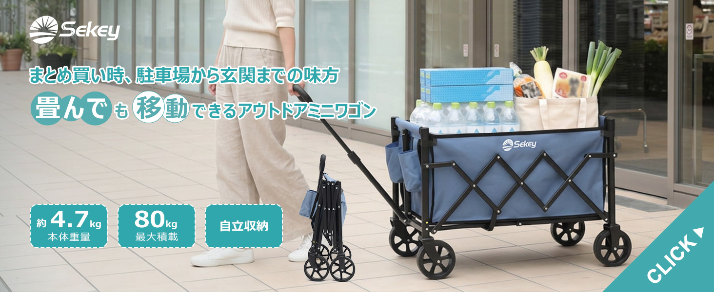 ミニキャリーワゴン