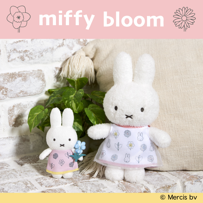 セキグチダイレクトショップ - Yahoo!ショッピング