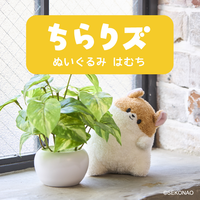 セキグチダイレクトショップ - Yahoo!ショッピング