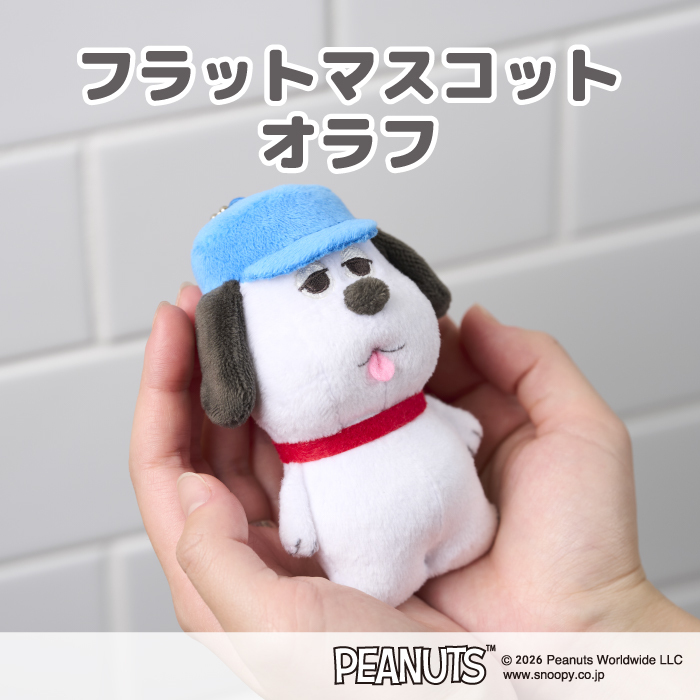 セキグチダイレクトショップ - Yahoo!ショッピング