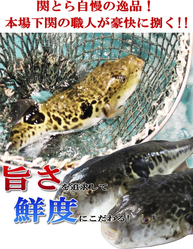 時間指定不可 母の日 21 ふぐ フグ 鍋 海と丘の豚しゃぶ食べ比べセット お取り寄せ 山口 海鮮 御祝 グルメ 値引きする Www Muslimaidusa Org