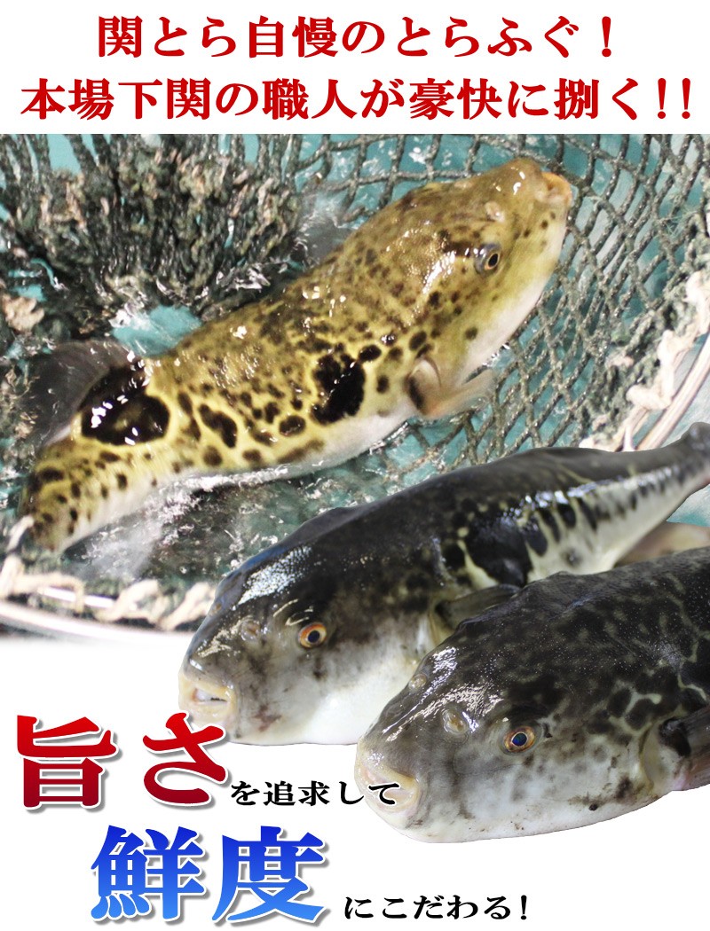 下関 関とら 送料無料でふぐの本場下関より産地直送いたします お中元 お歳暮など贈り物ギフトならお任せください Matsu I 母の日 21 ふぐ フグ 鍋 ふく福袋 松 とらふぐ ふぐ刺し 送料無料 お取り寄せ 山口 海鮮 御祝 グルメ 通販 Yahoo ショッピング