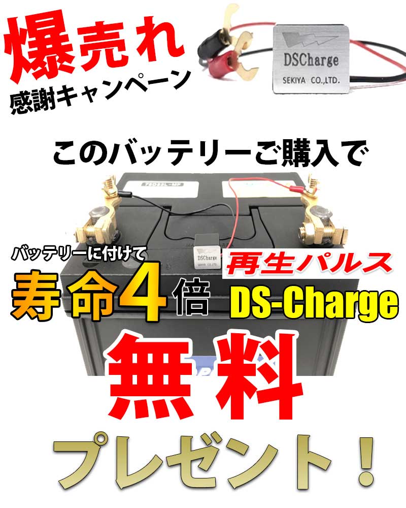 劣化防止パルス付 EB35（５５AH大容量） サイクルバッテリー 55Ah 12V LFP1255D｜sekiya2020｜02