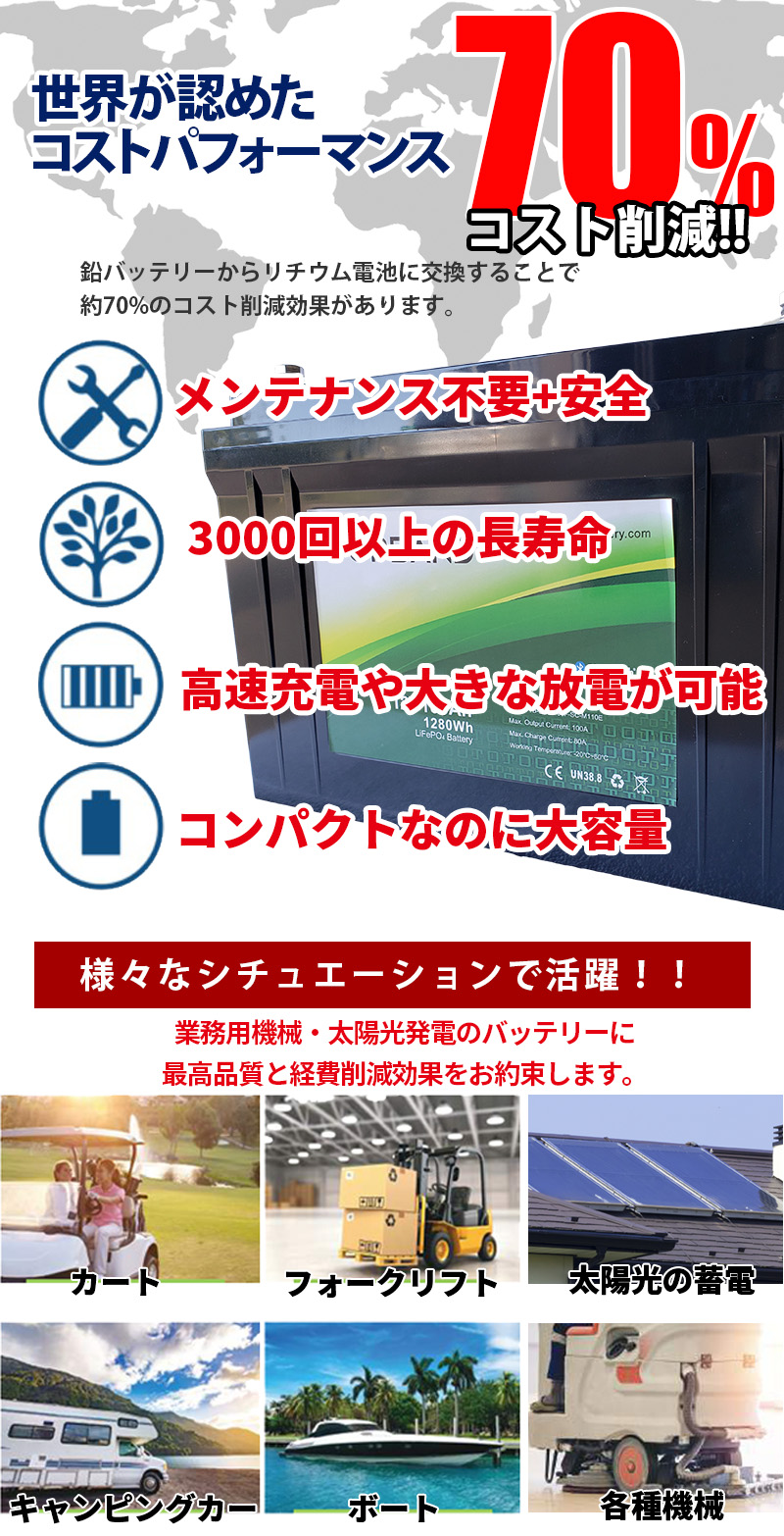 3000回使える リン酸鉄リチウム サイクルバ...の詳細画像4