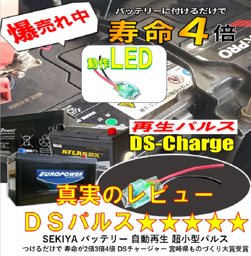 バイクバッテリー 自動再生 超小型パルス DS Charger バッテリー交換不要 バッテリーにつけるだけで 寿命が２倍３倍！ SEKIYA｜sekiyaeco