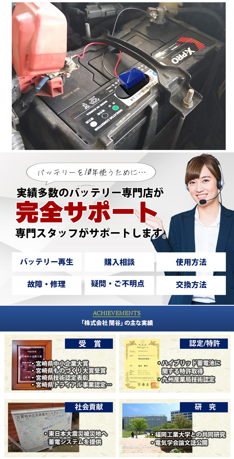 バッテリー自動再生 小型パルス 箱型 動作LED付 DSパルス DS