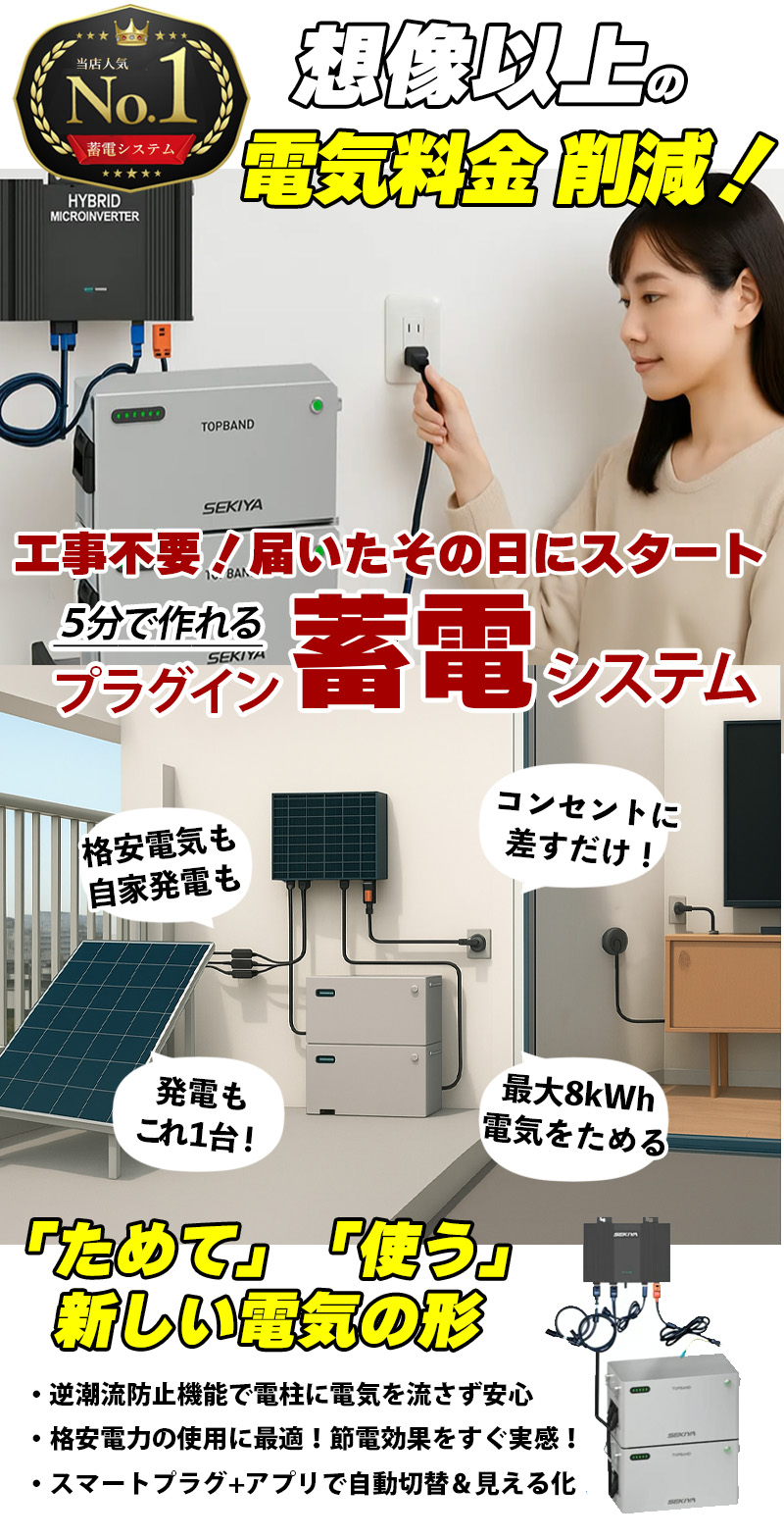 基本 エネルギー SR 80枚セット 限定 フルセット特別価格】5分で作れる蓄電システム