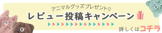 レビュー投稿キャンペーン実施中  ご投稿いただいたお客様へはもれなくベビープランツプレゼント