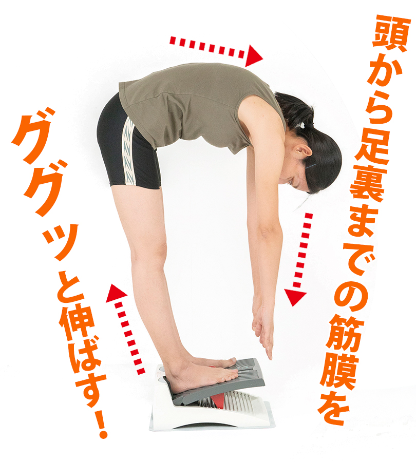 アサヒ ストレッチングボードEV Ver.2 オレンジ レッド 柔軟
