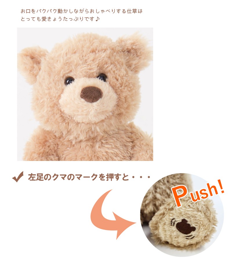 GUND ピーカーブーベア 英語版 6053525 テディベア クマ