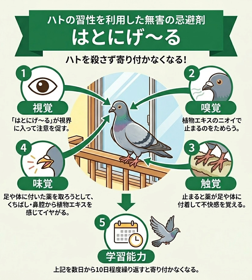 はとにげーる 鳩対策 糞害防止 鳥用 ハト除け ハト避け 退治 ベランダ