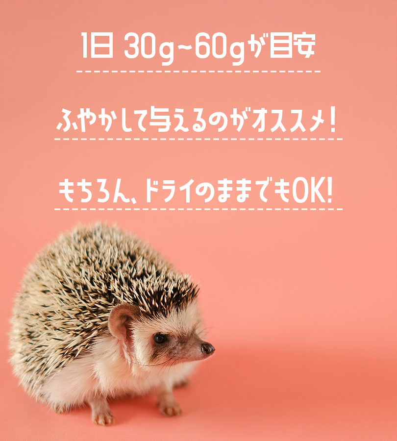 ハリネズミフード R.D.B ハーリーの主食 500g はりねずみ用ペレット