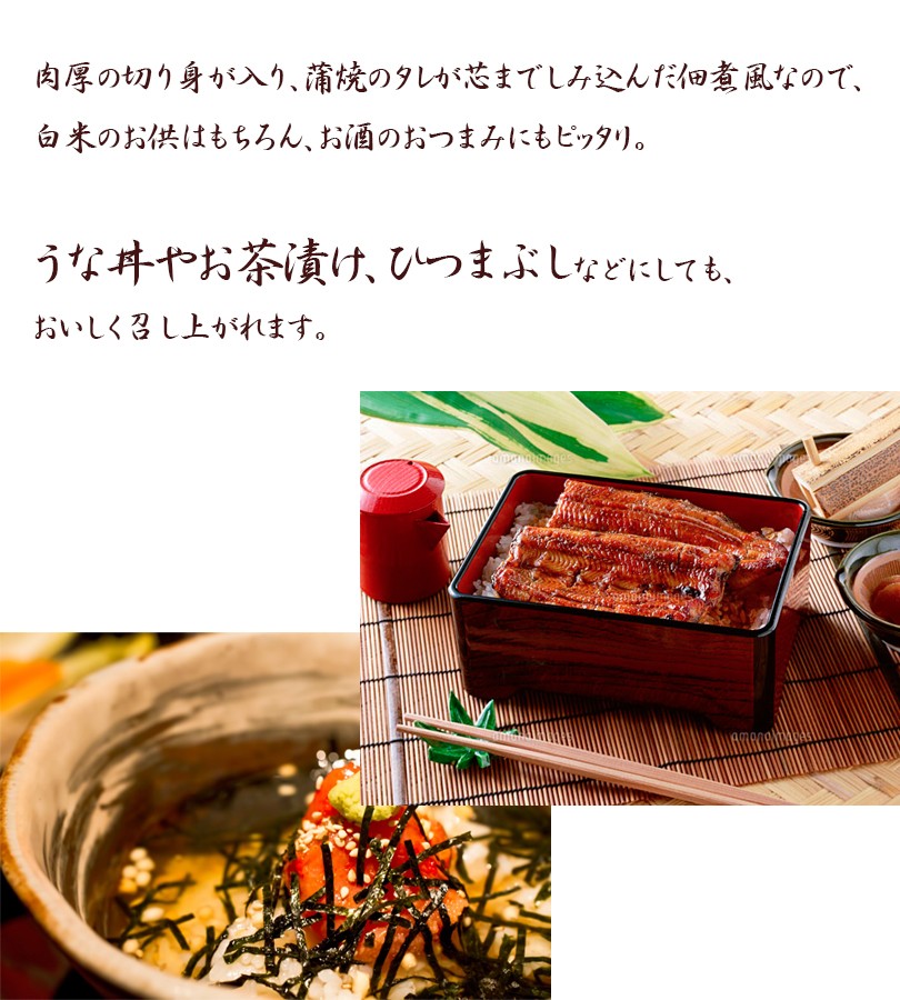 浜名湖食品 うなぎ蒲焼缶詰 100g(固形量90g)×5個セット 国産 ギフト