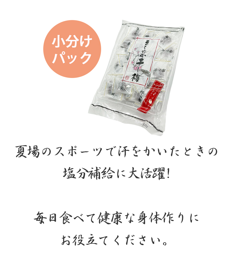 まろやか干し梅 種なし 160g×10袋セット 個包装 おやつ お菓子