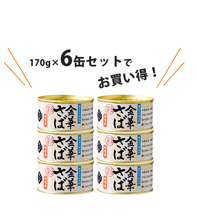 サバ缶 木の屋 石巻水産 彩 金華さば みそ煮 170g×6缶セット 鯖