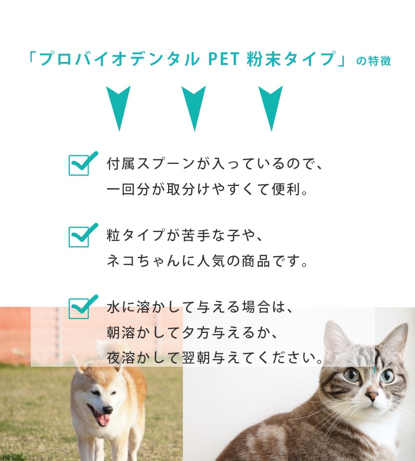 プロバイオデンタルペット 14g 粉末タイプ バニラ味 犬猫用 口腔善玉菌 サプリメント ペット用品 ライフスタイル 生活雑貨のmofu 通販 Paypayモール