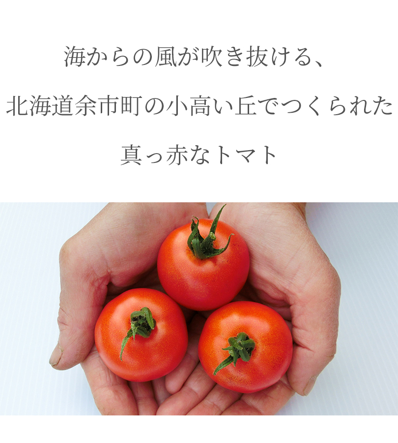 ストレート トマトジュース 食塩無添加 180ml×5本セット 無塩 野菜 