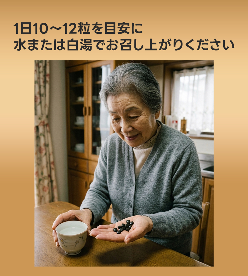命泉本舗 命泉粒 240粒 選べるセット 無臭にんにくサプリメント 錠剤