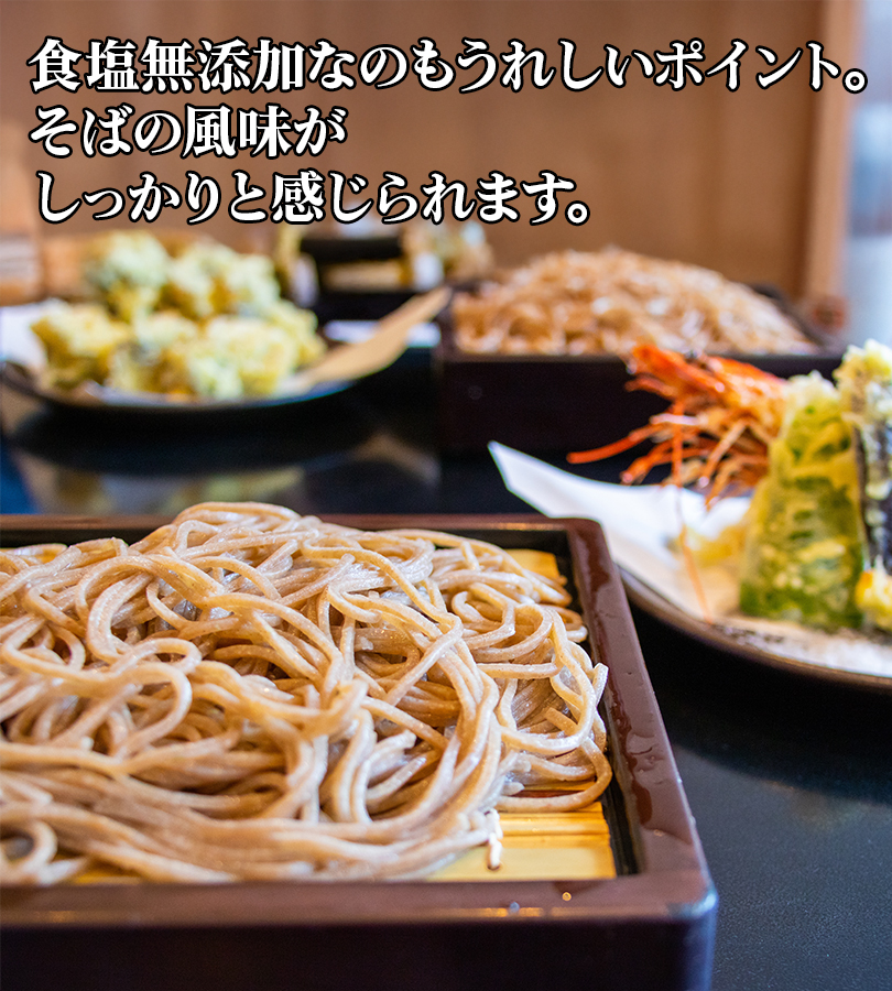 山本かじの 韃靼入り十割そば 乾麺 180g×10個セット 食塩無添加 だっ