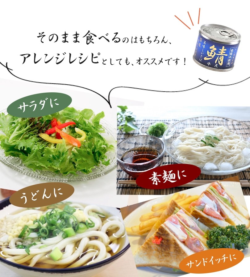 ワンワン。。★美味しい鯖缶★国産さば水煮２0缶★伊藤食品★サバ水煮缶 Amazon | 伊藤食品 美味しい鯖水煮 190g | 伊藤食品 | 魚介の