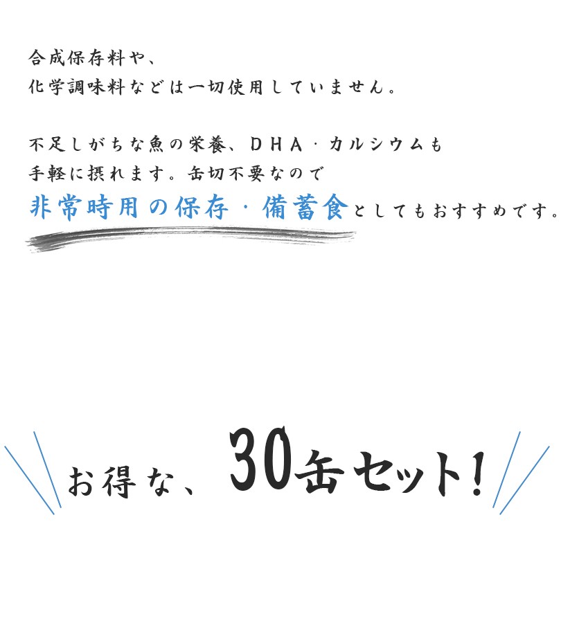 缶詰 ミニとろイワシ 味付 100g×30個セット 缶切り不要 無添加 国産 鰯