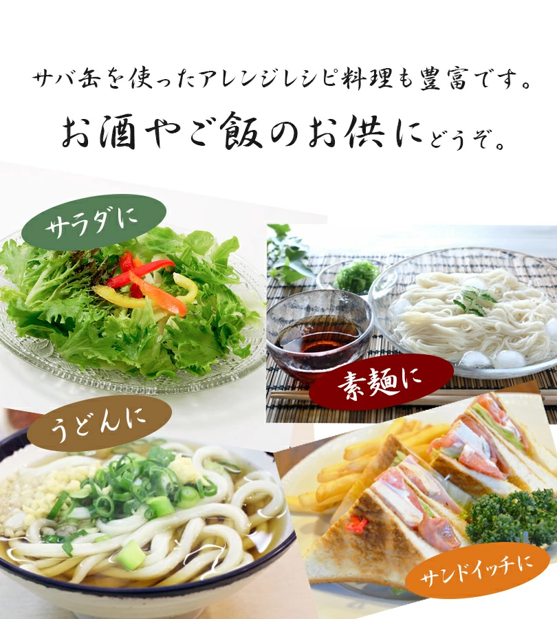 サバ缶 高木商店 寒さば 味噌煮 国産 190g×24缶セット 鯖 さばみそ