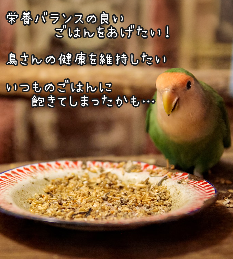 Amazon | 黒瀬ペットフード マニア mania セキセイインコ 3L 2個