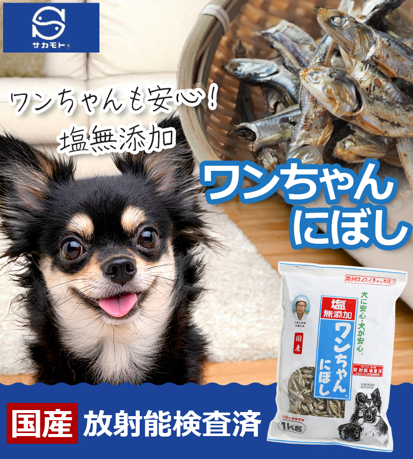 犬 おやつ 塩無添加 国産 ワンちゃんにぼし お徳用 1kg 犬用 おつまみ