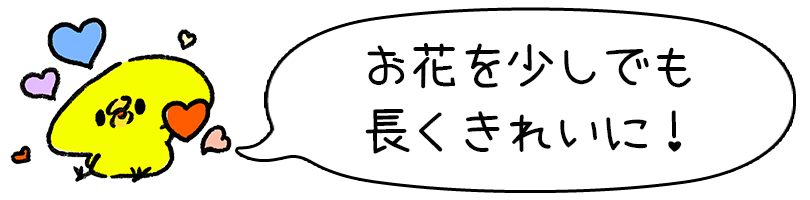 限定モデル 切り花延命剤 キープフラワー 500ml×2個セット 生花 長持ち 仏花 花束 植物用栄養剤 業務用 切花活力剤  www.monseletjardin.ca