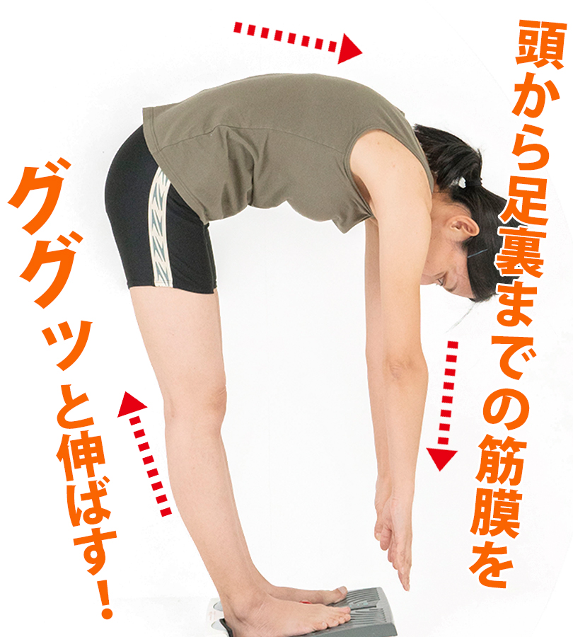 ストレッチングとエクササイズ 姿勢と動作の評価からつなげるストレッチングとエクササイズ