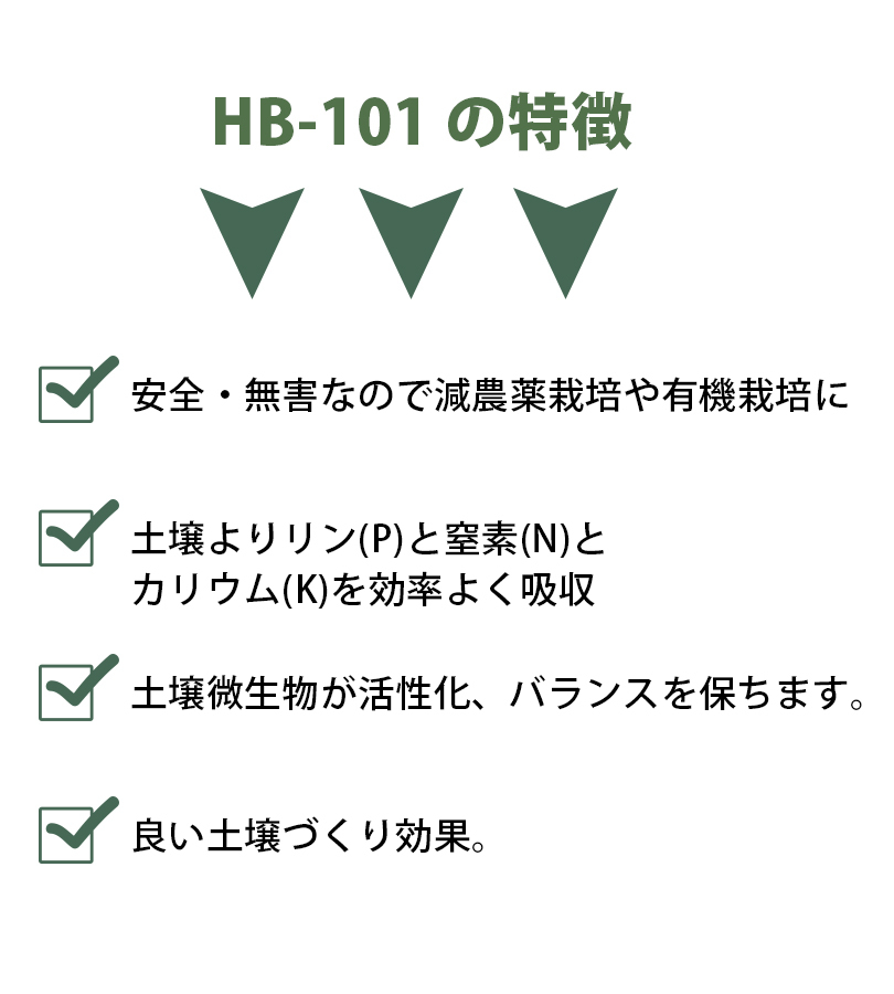 フローラ Hb 101 植物活力剤 100ml 原液 観葉植物 栄養剤 園芸 家庭菜園 通常便なら送料無料 仏花 切り花 液体肥料