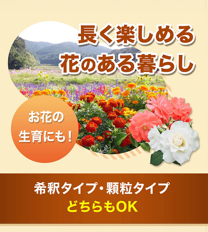 フローラ HB-101 植物活力剤 選べる容量 顆粒 原液 希釈 観葉植物