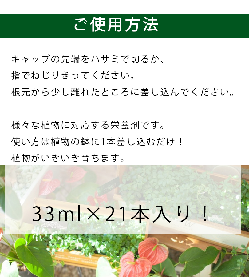 肥料・活力剤 植物活力液 アンプル 33ml×21本セット 全植物用 切り花