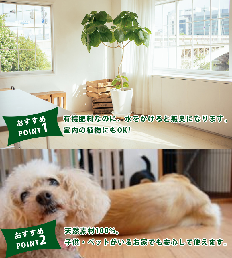 バイオゴールド 有機肥料 5kg×2袋 追肥 無臭 家庭菜園 ガーデニング 楽天市場】バイオゴールド オリジナル 天然有機肥料 5kg 野菜 果物 花