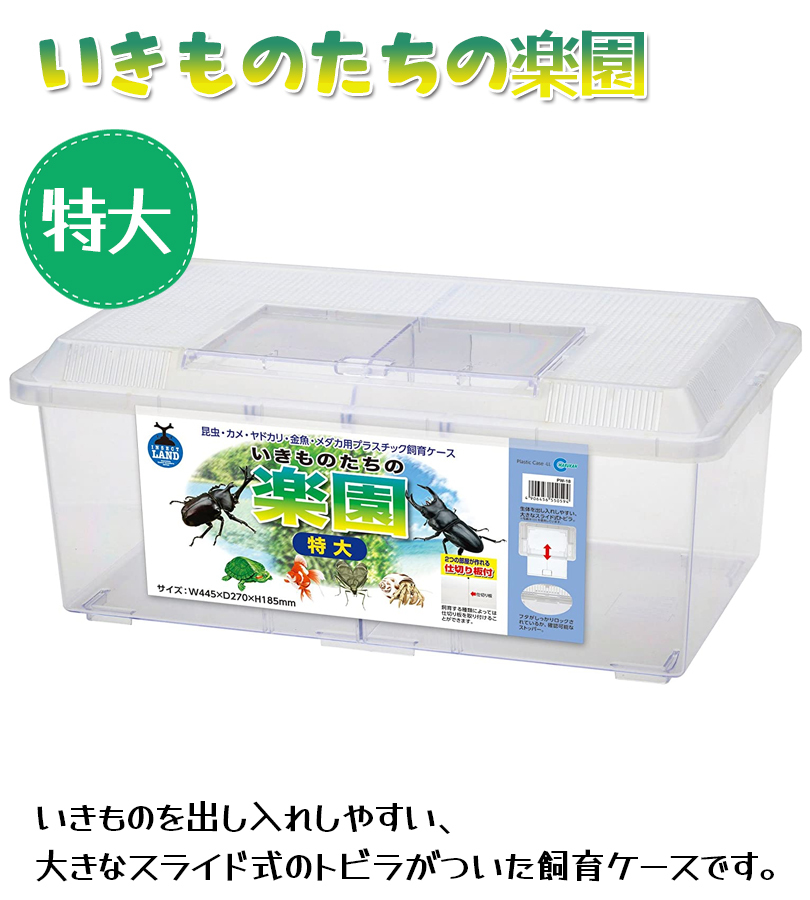 昆虫 飼育ケース マルカン プラケース いきものたちの楽園 特大 仕切り板付 PW-18 プラスチック製 クワガタ 亀 爬虫類