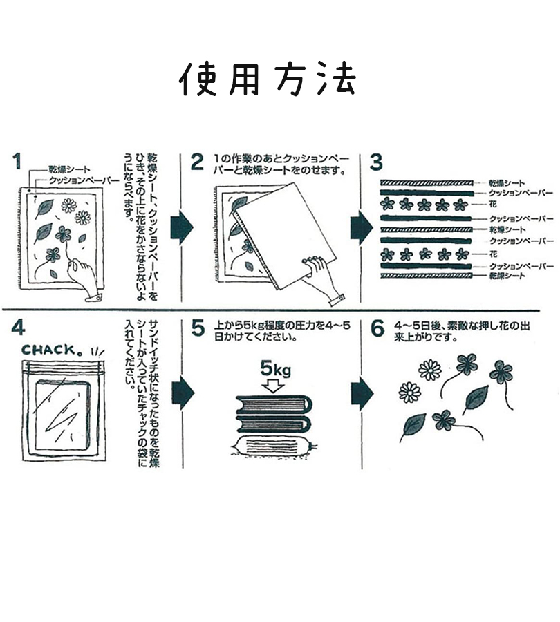 新着セール 押し花 乾燥シートセット 6枚入 ドライフラワー 保存 保管 鑑賞用 アート 作品 ものづくり ホビー 趣味 コレクション Fs 106 正規取扱店