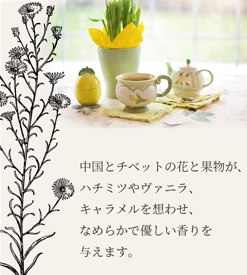 紅茶 茶葉 マリアージュ フレール マルコポーロ 100g×4個セット 缶入り