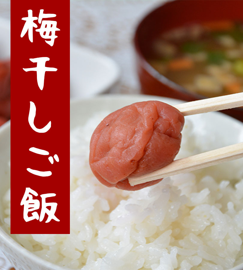 パックごはん たきたてご飯 テーブルマーク ふっくらつや炊き 180g×10食入 国産米 ご飯パック 電子レンジ調理 レトルト食品 美味しい お米  レンチン 常温保存 :u515554:ライフスタイル生活雑貨のMofu - 通販 - Yahoo!ショッピング