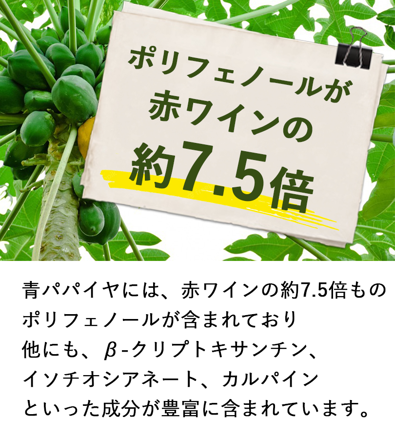 バイオ ノーマライザー 3g×30包×2個セット 青パパイヤ 酵素 栄養補助食品 サプリメント カリカパパイヤ C995470 日本製 :  u516518 : ライフスタイル&生活雑貨のMofu - 通販 - Yahoo!ショッピング