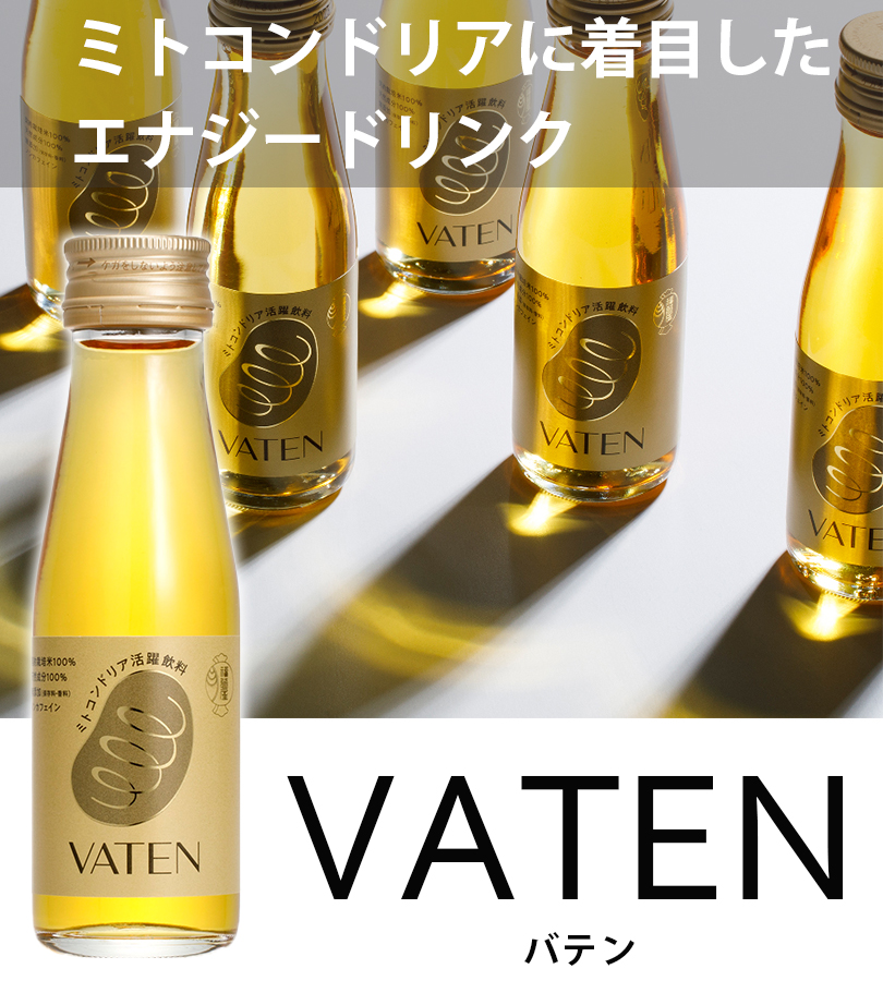 ミトコンドリア活躍飲料 VATEN バテン 100ml 10本入り×3箱セット
