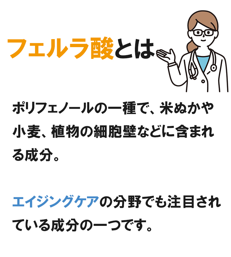 サプリメント フェルゴッド 2g×60包 フェルラ酸 米ぬか 個包装 ポリフェノール 健康補助食品 栄養サポート 女性 男性 健康食品 :  u518002 : ライフスタイル&生活雑貨のMofu - 通販 - Yahoo!ショッピング