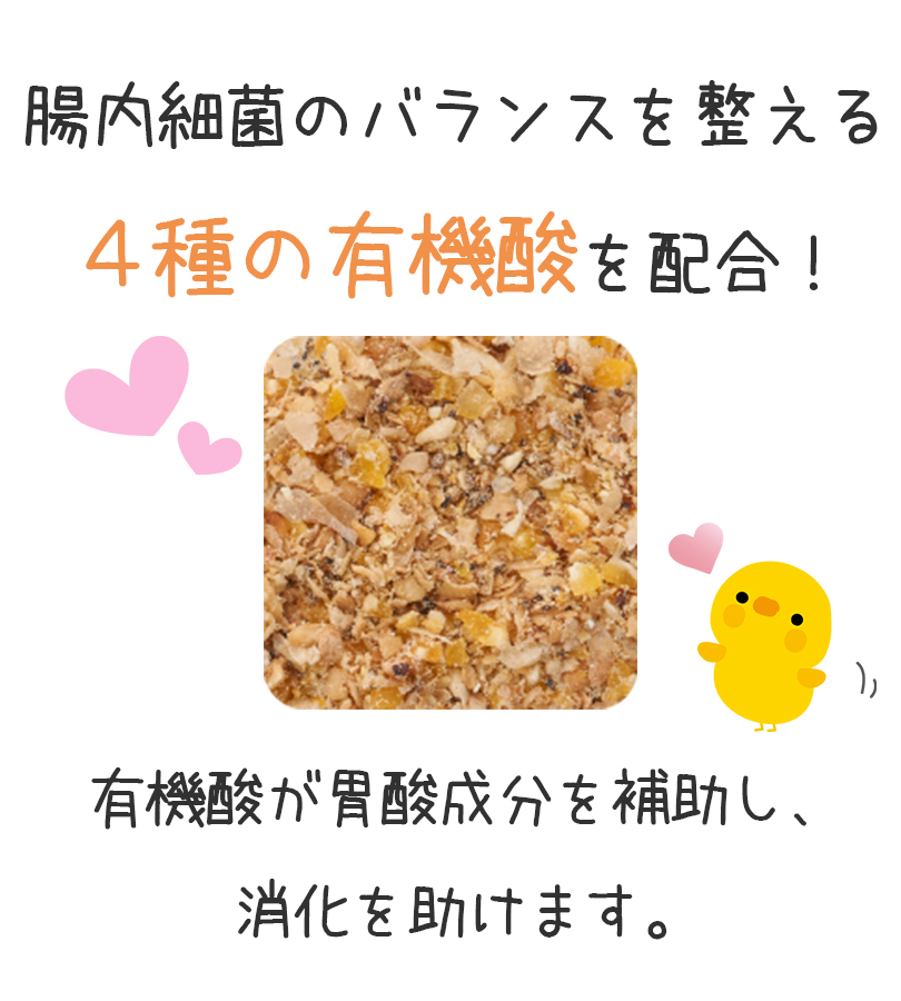 日本ペットフード バーディー ヒヨコフード 1kg ひよこ 0週齢-4週齢 えさ 餌 ご飯 主食 ひな 雛鳥 うずら ウズラ ニワトリ 鶏 にわとり  マッシュ 国産 : u519011 : ライフスタイル&生活雑貨のMofu - 通販 - Yahoo!ショッピング