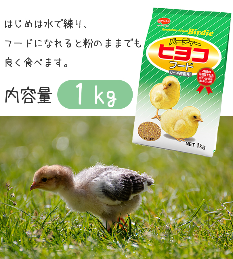 日本ペットフード バーディー ヒヨコフード 1kg ひよこ 0週齢-4週齢 えさ 餌 ご飯 主食 ひな 雛鳥 うずら ウズラ ニワトリ 鶏 にわとり  マッシュ 国産 : u519011 : ライフスタイル&生活雑貨のMofu - 通販 - Yahoo!ショッピング