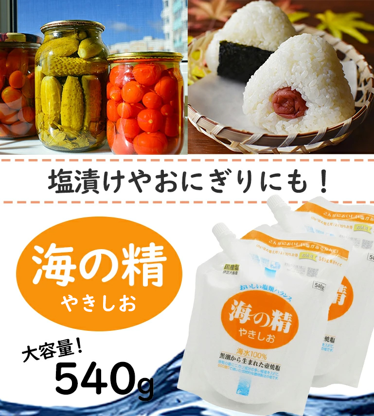塩 国産 海の精 やきしお 540g 2個セット スタンドパック 調味料