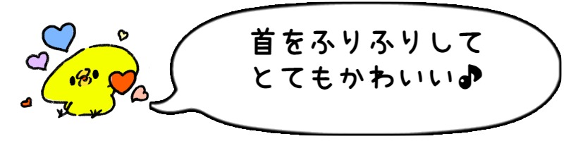 木のおもちゃ 1歳 いぬのヴァルディ NC63651 プルトイ 木製 赤ちゃん