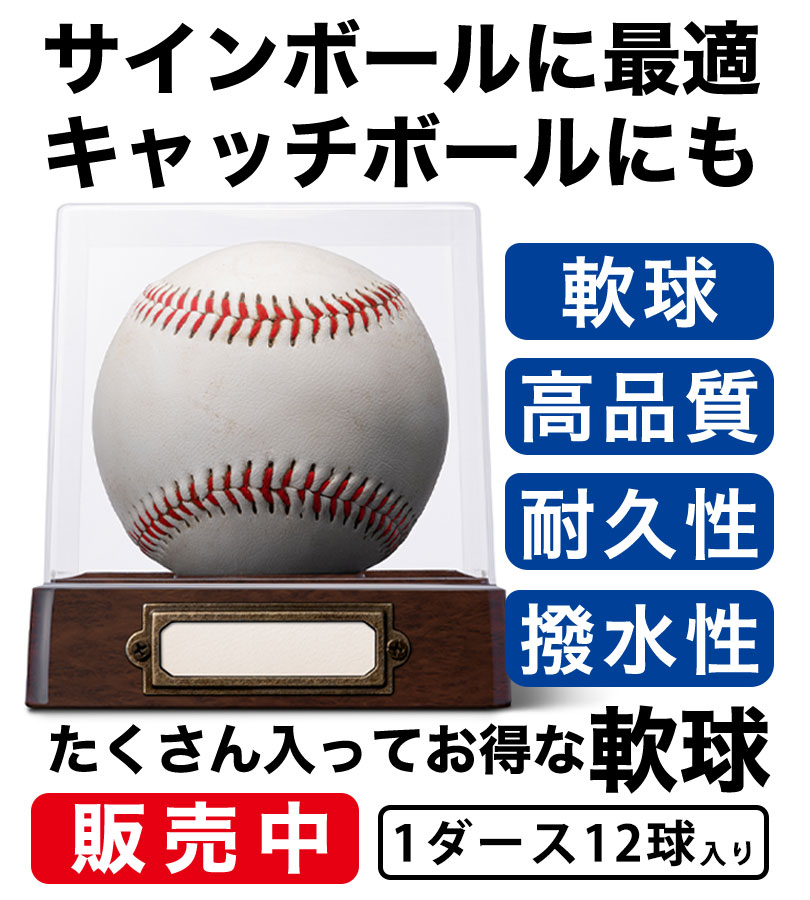 野球ボール 1ダース (12個入り) 個包装 練習用 高校 中学 草野球 部