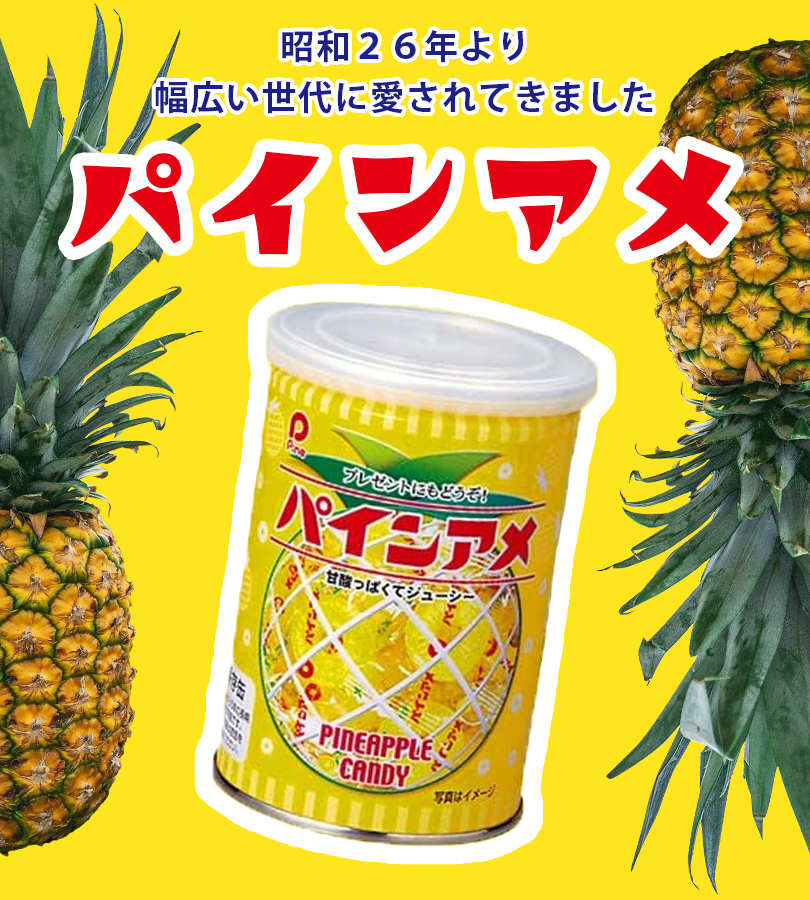 あめ パインアメ缶 90g 缶入り 缶詰 飴 キャンディー お菓子 駄菓子