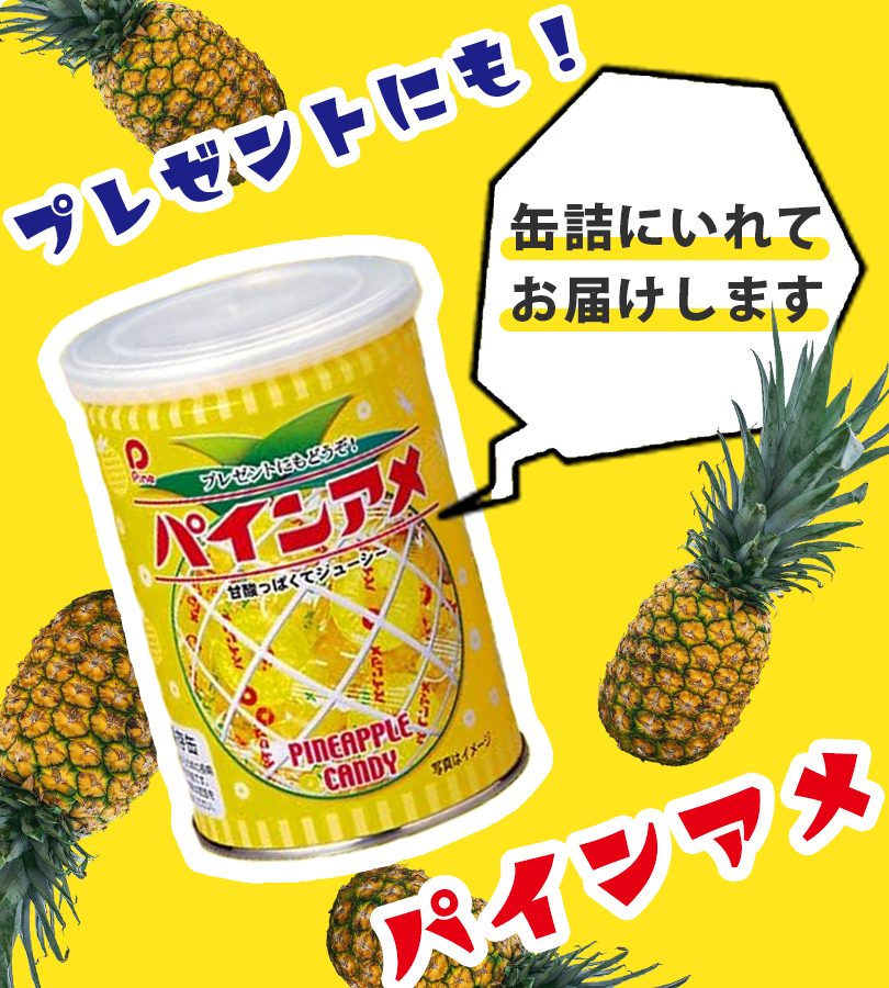 あめ パインアメ缶 90g 缶入り 缶詰 飴 キャンディー お菓子 駄菓子